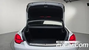 Kia K9, 2021 — миниатюра 23