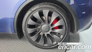 Tesla Model Y, 2021 — миниатюра 7