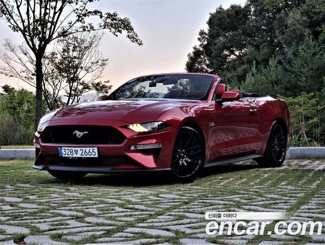 Ford Mustang, 2023 — фото автомобиля из Кореи