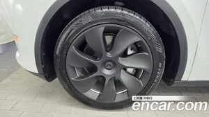 Tesla Model Y, 2021 — миниатюра 5
