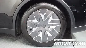 Tesla Model Y, 2026 — миниатюра 6