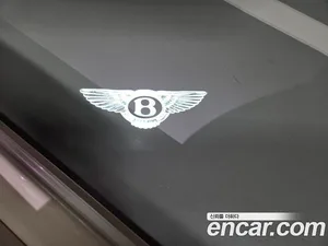Bentley Continental, 2025 — миниатюра 13