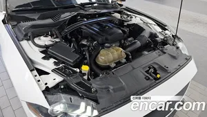 Ford Mustang, 2019 — миниатюра 6