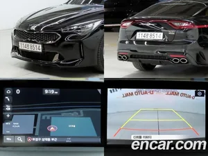 Kia Stinger, 2019 — миниатюра 17