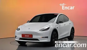 Tesla Model Y, 2021 — миниатюра 31