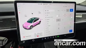 Tesla Model Y, 2021 — миниатюра 22