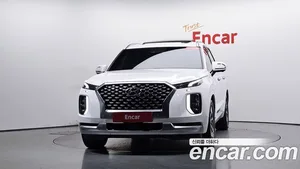 Hyundai Palisade, 2020 — миниатюра 2