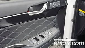 Hyundai Palisade, 2020 — миниатюра 26