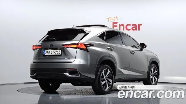 Lexus NX, 2021 — фото автомобиля из Кореи