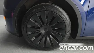 Tesla Model Y, 2021 — миниатюра 5