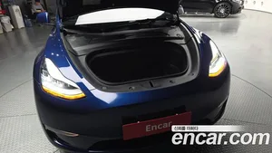 Tesla Model Y, 2021 — миниатюра 6