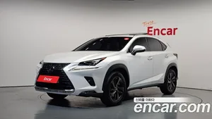Lexus NX, 2019 — миниатюра 1