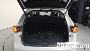 Lexus NX, 2019 — миниатюра 26