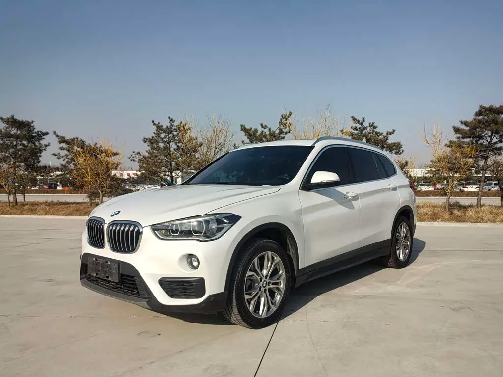 BMW X1, 2019 — фото 1 из 1