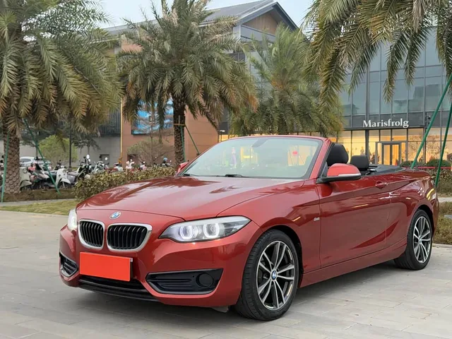 BMW 2 Series, 2018 — фото автомобиля из Китая