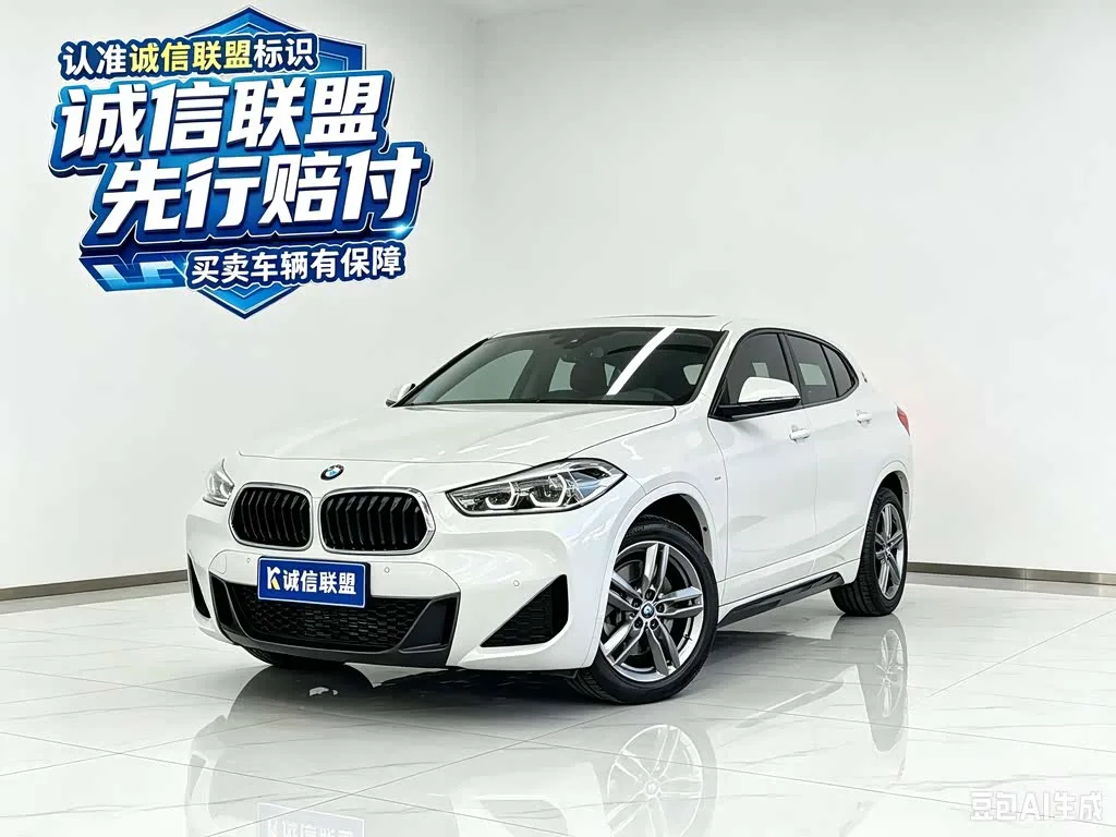 BMW X2, 2022 — фото 1 из 1