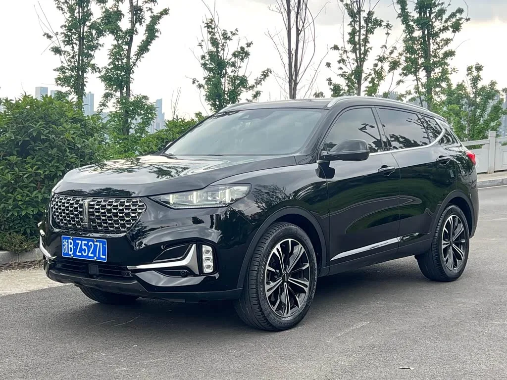 Great Wall VV6, 2021 — фото 1 из 1