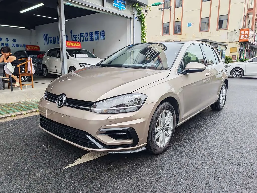 Volkswagen Golf, 2019 — фото 1 из 1