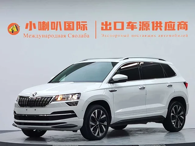 Skoda Karoq, 2023 — фото автомобиля из Китая