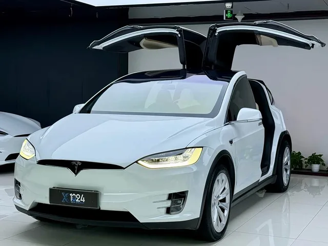 Tesla Model X, 2019 — фото автомобиля из Китая