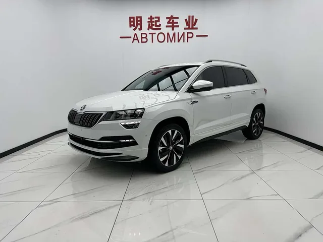 Skoda Karoq, 2023 — фото автомобиля из Китая