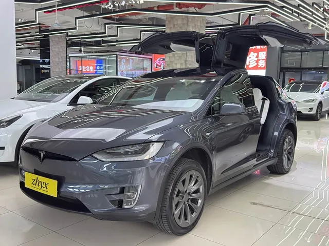 Tesla Model X, 2020 — фото автомобиля из Китая