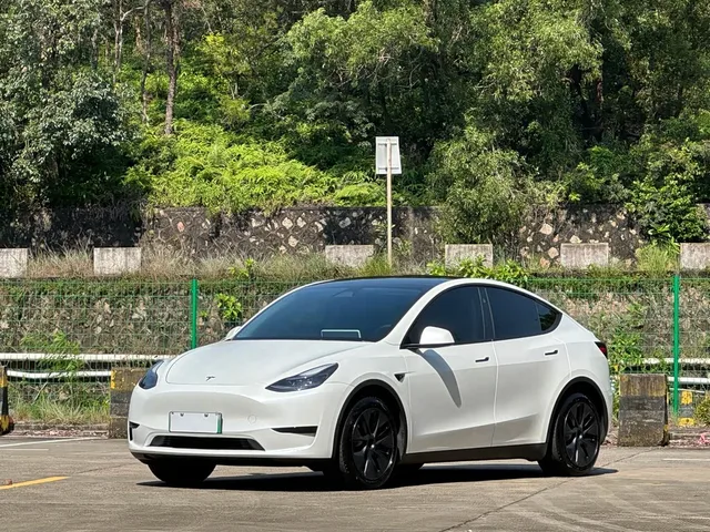 Tesla Model Y, 2024 — фото автомобиля из Китая