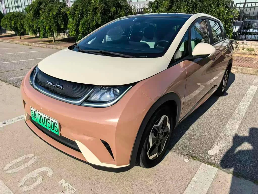 BYD Dolphin, 2021 — фото 1 из 1