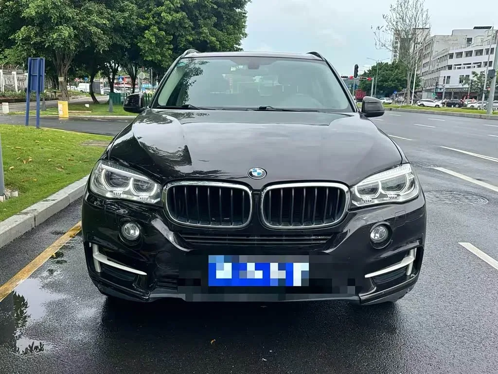 BMW X5, 2016 — фото 1 из 1