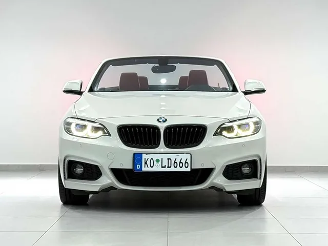 BMW 2 Series, 2018 — фото автомобиля из Китая