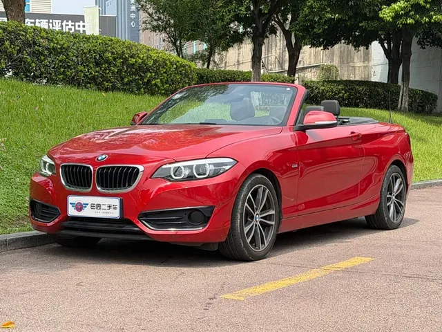 BMW 2 Series, 2018 — фото автомобиля из Китая