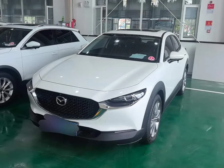 Mazda CX-30, 2022 — фото 1 из 1