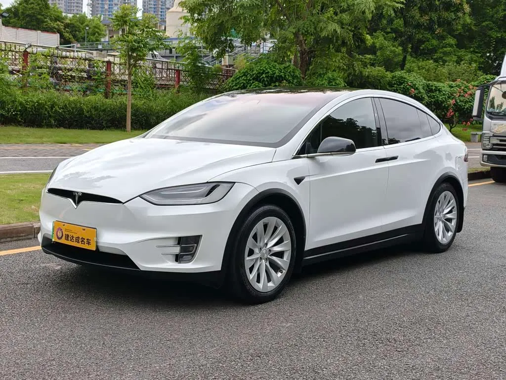 Tesla Model X, 2020 — фото 1 из 1
