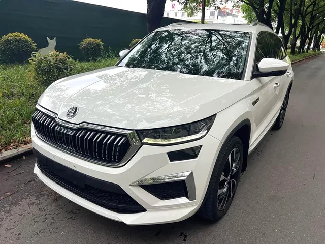 Skoda Kodiaq, 2022 — фото автомобиля из Китая