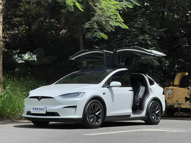 Tesla Model X, 2023 — фото автомобиля из Китая