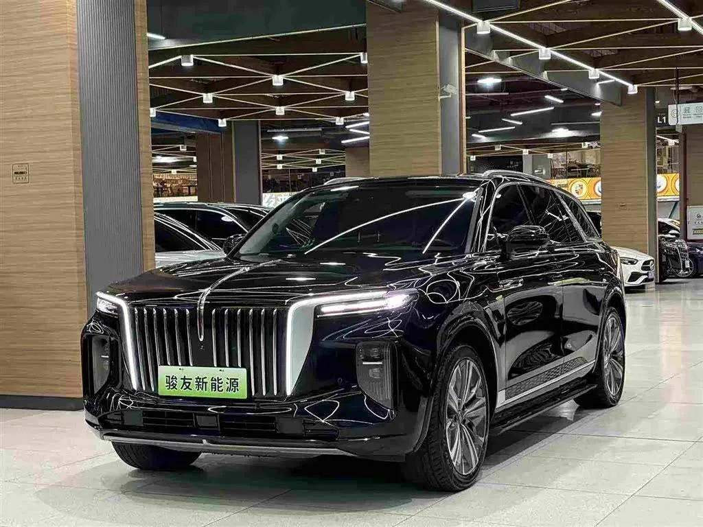 Hongqi E-HS9, 2022 — фото 1 из 1
