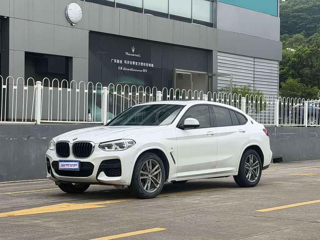 BMW X4, 2019 — фото 1 из 1
