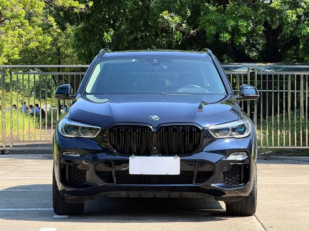 BMW X5, 2020 — фото 1 из 1
