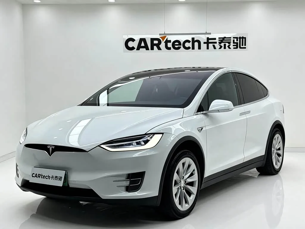 Tesla Model X, 2020 — фото 1 из 1