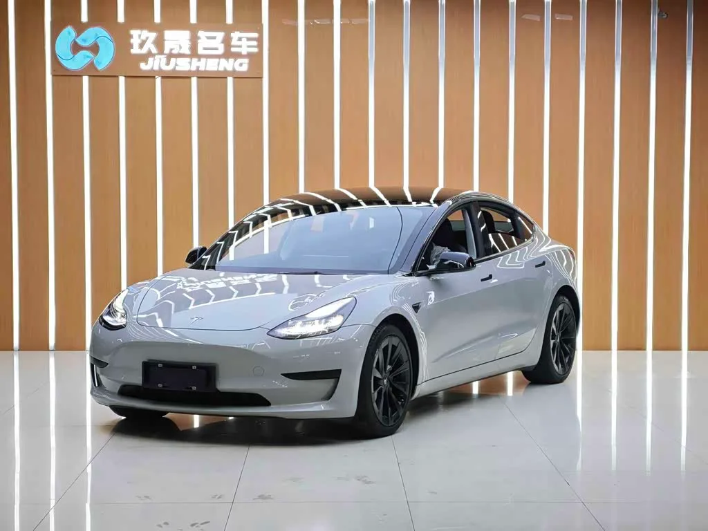 Tesla Model 3, 2022 — фото 1 из 1