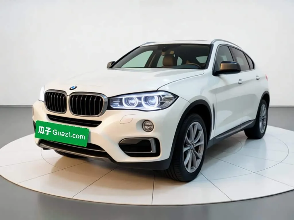 BMW X6, 2018 — фото 1 из 1