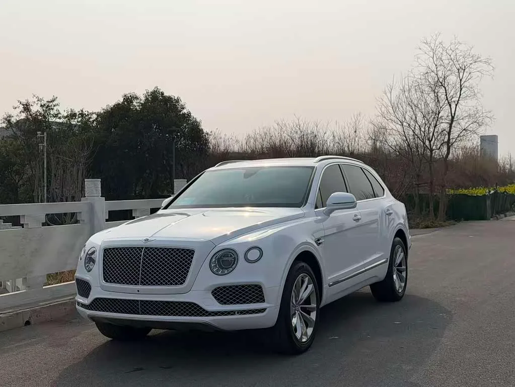Bentley Bentayga, 2019 — фото 1 из 1