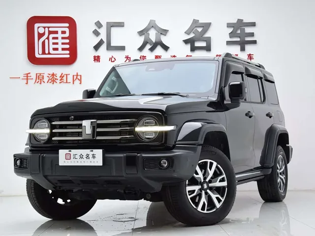 Great Wall 300, 2024 — фото автомобиля из Китая