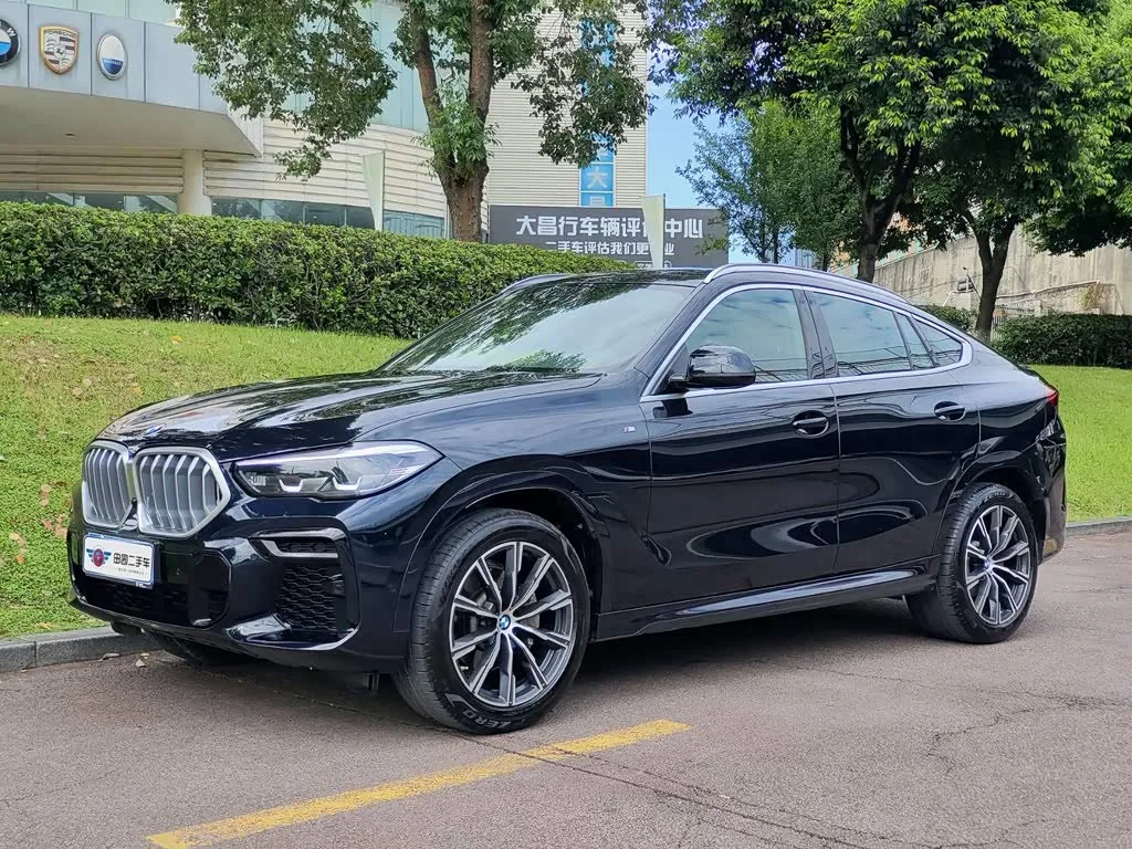 BMW X6, 2022 — фото 1 из 1