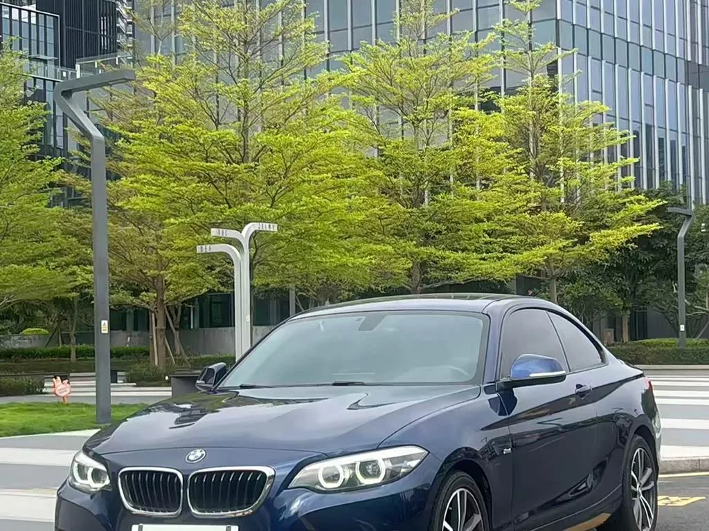 BMW 2 Series, 2019 — фото 1 из 1