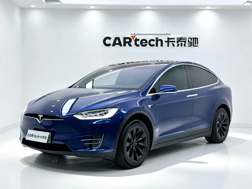 Tesla Model X, 2020 — фото 1 из 1