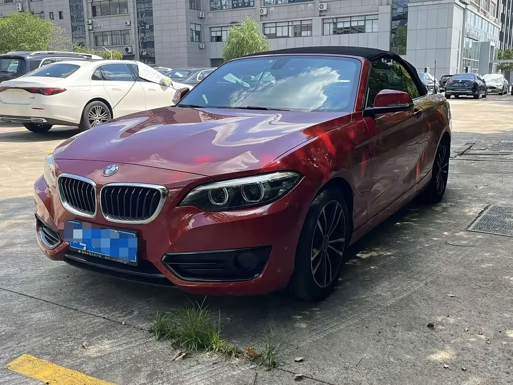 BMW 2 Series, 2018 — фото 1 из 1