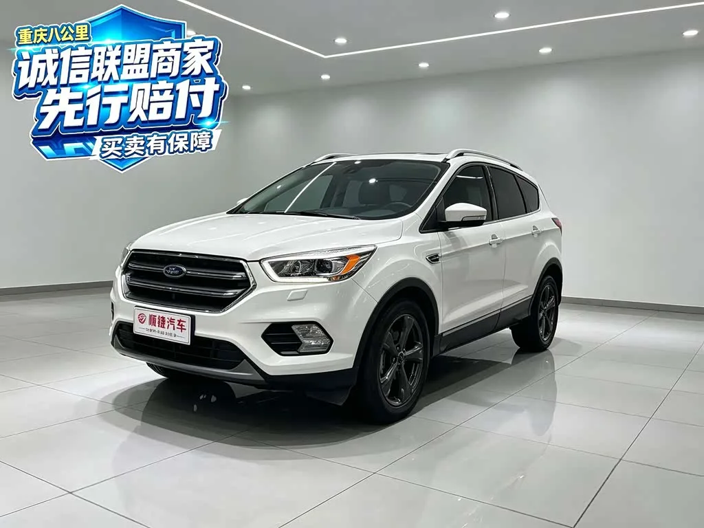 Ford Kuga, 2020 — фото 1 из 1