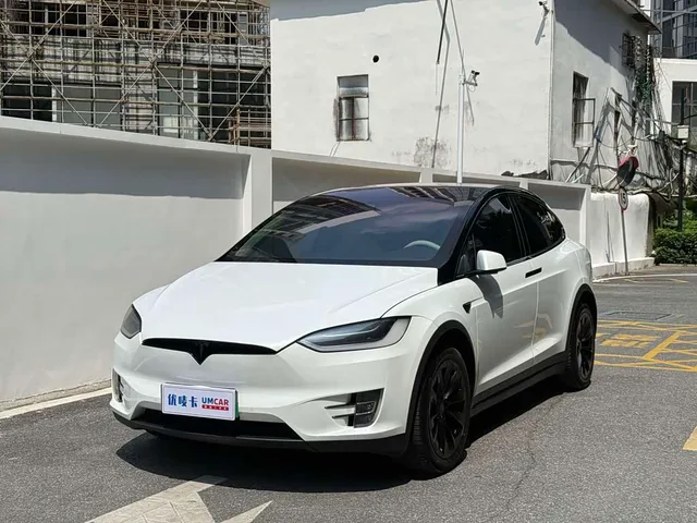 Tesla Model X, 2019 — фото автомобиля из Китая