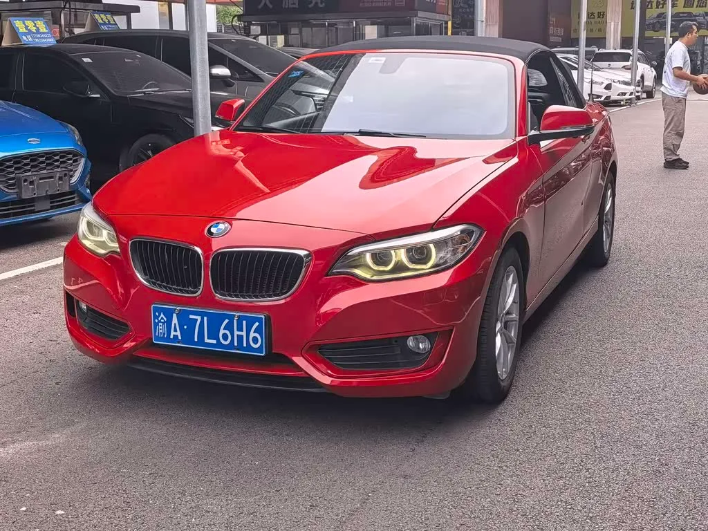 BMW 2 Series, 2017 — фото 1 из 1